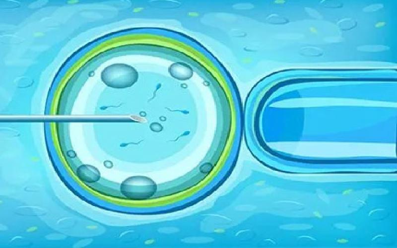 试管移植吃了韭菜代生